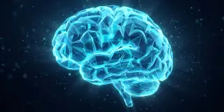 Breath timing reshapes how we read faces