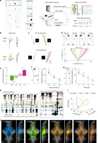 Memory-based thalamus–brainstem circuit biases decisions across trials