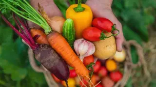Dietary Strategies for Skin Longevity: Carotenoids, Fats, and Gut Health