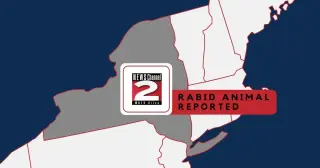 Rabies Detected in Local Wildlife in Oneida County Prompts Exposures