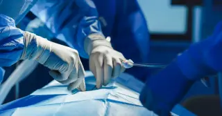 Pig Kidney Serves as 271-Day Bridge to Human Transplant