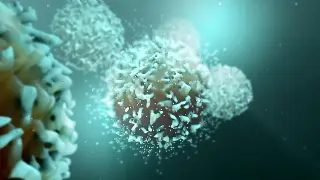 Turning Up T Cell Power: Ant2 Blockade Rewires Immune Metabolism to Fight Cancer