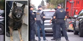 Gresham murder suspect and Portland K-9 die in SE Portland shootout