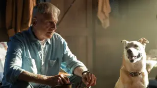 NCIS: Origins Season 3 Premieres with Mark Harmon's Return and a 1992 Russian Conspiracy