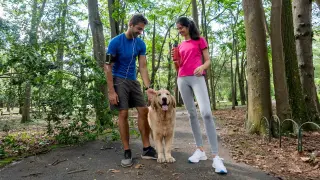 Dog ownership linked to 24% lower mortality risk, says longevity expert