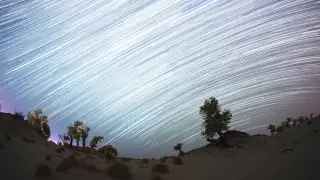 Orionid Meteor Shower Peaks Overnight: Halley's Comet Debris Offers Brief Dark-Sky Window