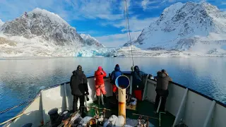 Horn blast nets fine as Svalbard tightens polar bear rules
