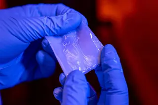 Bacteria-Directed Material Could Replace Plastics in Industry