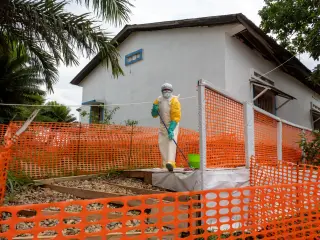 DRC Ebola Outbreak Surges to 1,309 Deaths as Spread Accelerates