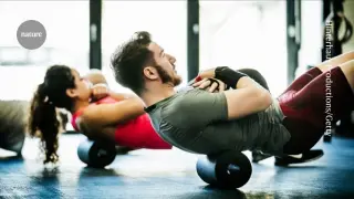 Immune B cells boost exercise endurance in mice, revealing an immune-metabolic link
