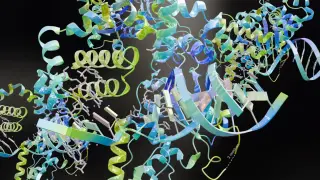 Google DeepMind Introduces SynthID Bio to Watermark AI-Designed Proteins for Biosecurity