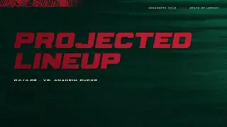 Wild-Ducks season finale features projected lineup