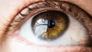 New Study Links Statin Use to Reduced Risk of Glaucoma and Vision Loss