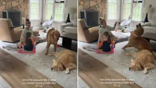 Sunday Morning Bliss: Golden Retrievers Join Mom, Toddlers for Quiet Family Time