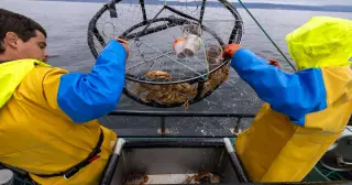 El Niño Could Upend California’s Crab and Salmon Fleets