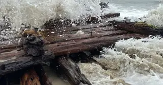 Nor'easter uncovers 1884 Warren Sawyer shipwreck on Nantucket's shifting shore