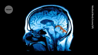 Pharma Pivots: GLP-1 Drugs Target Addiction, Depression, and Financial Impulse