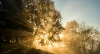 Why Sunlight Takes 170,000 Years to Reach Earth