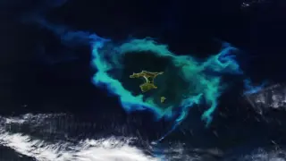 Halo of glowing plankton surrounds NZ’s Chatham Islands, powered by a hidden undersea plateau