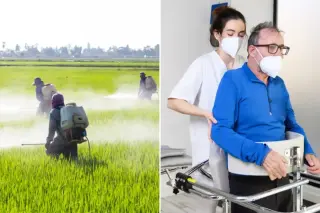 Pesticide exposure linked to up to 70% higher ALS risk, global study finds
