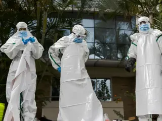 WHO declares Ebola outbreak 'more complex' as Nigeria case raises cross-border transmission questions