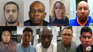 ICE Operation in DC Area Arrests Over 1,300 Across VA and MD