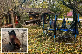 Civilian Deaths in Ukraine Surge 85% as Drone Kills Infant in Kharkiv Park