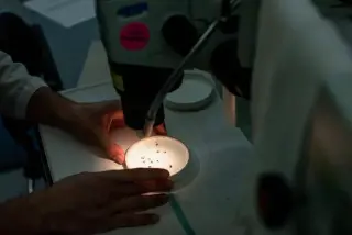 First West Nile virus death of 2026 reported in Montgomery County