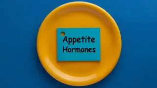 Fat Cells Retain Epigenetic 'Memory' of Obesity, Driving Persistent Hunger and Weight Regain