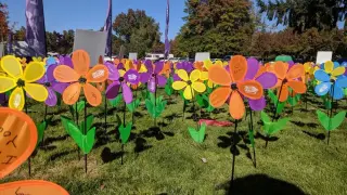 World Alzheimer's Day: spotting early signs and safer homes for caregivers