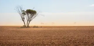 Record-Shattering El Niño Approaches, Redrawing Global Weather Patterns
