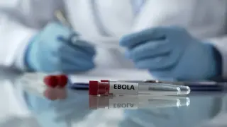 Experimental Bundibugyo Ebola vaccine kicks off UK phase 1 trial