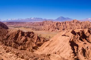 Ancient Capybara Tooth Rewrites Atacama Desert Climate History