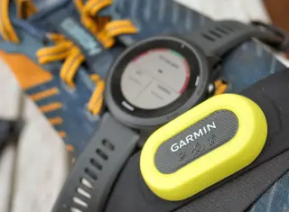 Garmin Forerunner 955 HRV Accuracy Study: Great for Heart Rate, Poor for Recovery Metrics