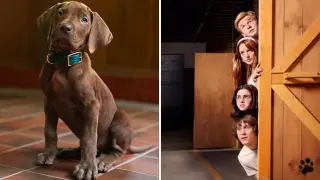 Scooby-Doo Comes to Life in Netflix's Live-Action Series — First Look and 2027 Release