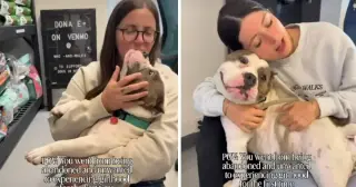 Abandoned Rescue Dog Finds Girlhood and Hope in Shelter Sisterhood