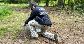 Summer rabies exposures loom as CDC issues nationwide alert