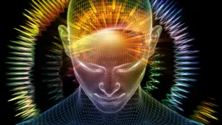 A Week of Intensive Meditation Rewires Brain and Body