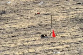 Sperm Whale Pod Sinks Yacht Tai Tam in South Pacific; Crew Rescued After 18-Hour Ordeal