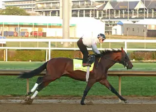 Great White Enters Derby After Silent Tactic Scratched With Foot Bruise