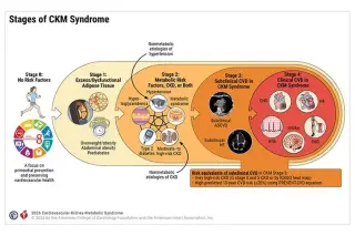 2026 Guideline Unifies CKM Syndrome Care Across Specialties