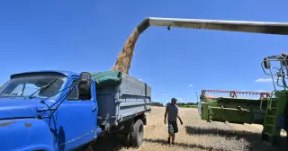 EU Transit Blockade Threatens Ukraine’s 2027 Harvest as Poland and Romania Refuse Aid