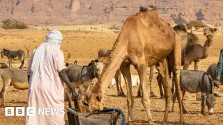 Chad water-well feud leaves 42 dead amid ethnic clashes