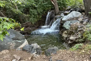 Rediscovered Waterfall Triggers a Half-Century Memory Lane in Santa Barbara’s San Rafael Wilderness