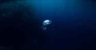 Earth’s ocean floor remains the least-charted giant landscape on the planet