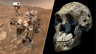 Mars organics, female Homo naledi, and water’s two-faced nature: this week's science roundup