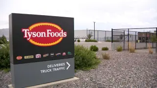 Tyson Foods Shuts Utah Plant, 723 Jobs Cut Amid Cattle Shortage