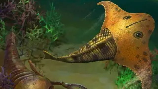 Batwing-Headed Jawless Fish Glided Devonian Seas, Study Finds