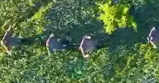 Ukraine Uses Drones to Capture Russian Soldiers Without Firing