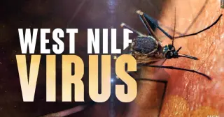 Wyomissing mosquito sample tests positive for West Nile Virus; officials urge caution